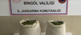 Bingöl'de 29 kilo esrar ele geçirildi