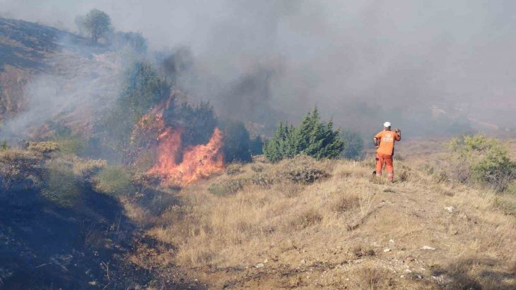 Bingöl'de çıkan orman yangını söndürüldü