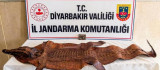 Diyarbakır'da 2 milyon dolar karşılığında satılmaya çalışılan tarihi eser yakalandı