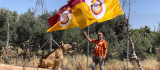 Diyarbakırlı taraftar, Galatasaray'ın 24. şampiyonluğunu aslanlarıyla kutladı