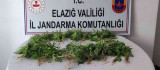 Elazığ'da uyuşturucu operasyonu
