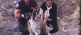 Elazığ'da yaralı halde bulunan köpek itfaiye ekipleri tarafından kurtarıldı
