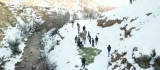 Tunceli'de doğaya yem bırakıldı, dağ keçileri akın etti