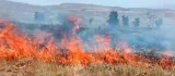 Tunceli'deki arazi yangını söndürüldü